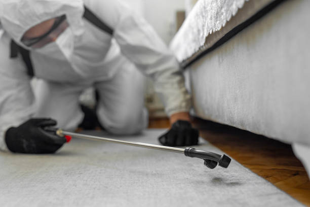 Professional Fumigation Services technician working in Colchester, IL