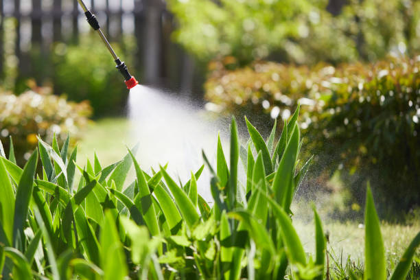 24/7 Emergency Fumigation Services experts in Colchester, IL